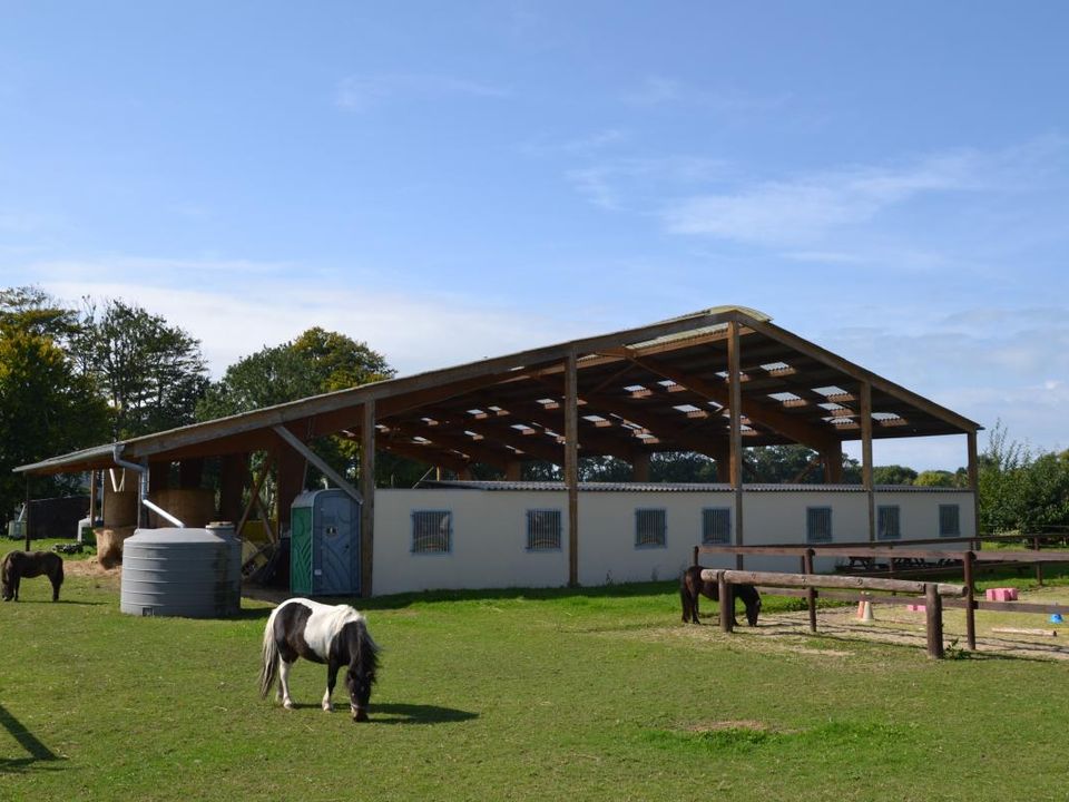 Helårsgrund i Blosseville, Seine-Maritime - foto 5
