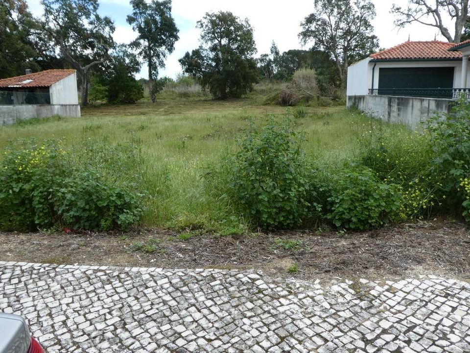 Helårsgrund i Condeixa-a-Nova, Coimbra - foto 1