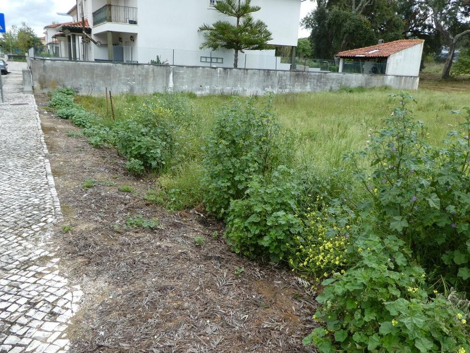 Helårsgrund i Condeixa-a-Nova, Coimbra - foto 3