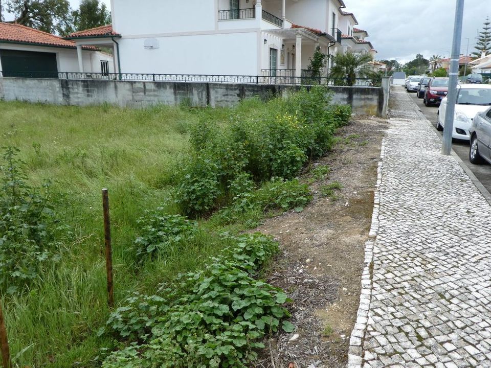 Helårsgrund i Condeixa-a-Nova, Coimbra - foto 4