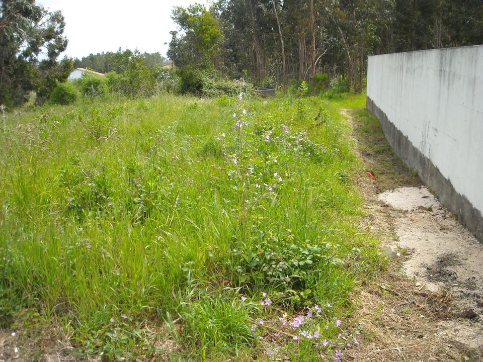 Helårsgrund i Figueira da Foz, Coimbra - foto 1