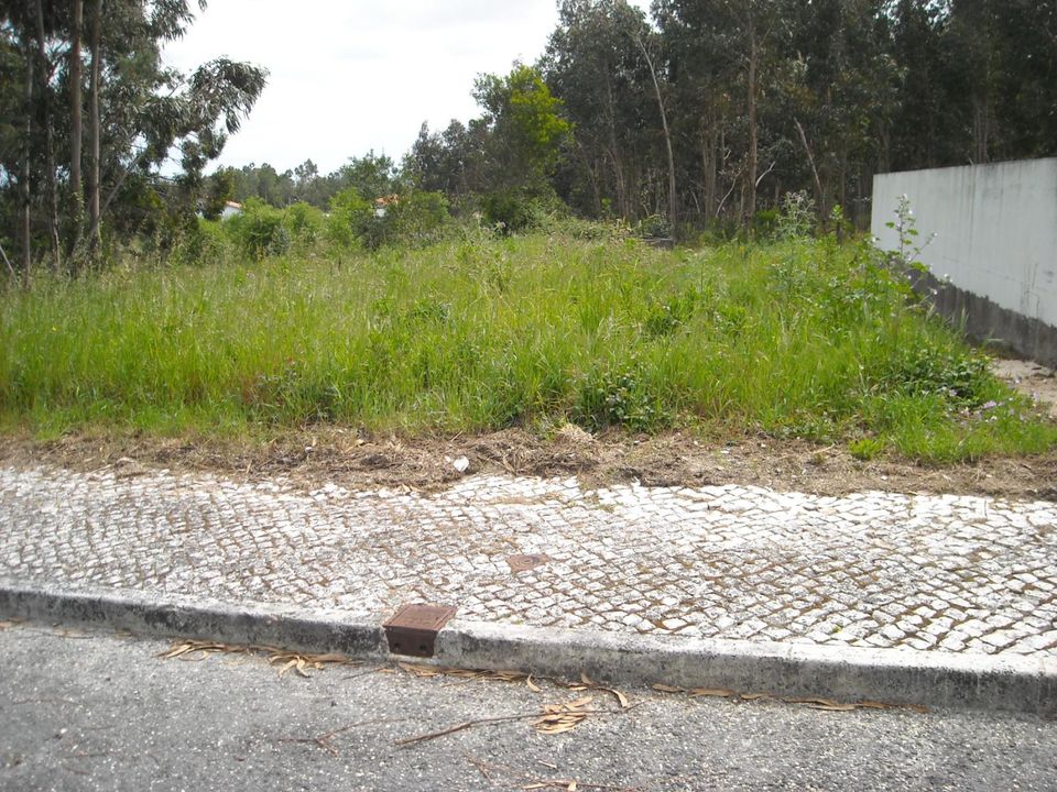 Helårsgrund i Figueira da Foz, Coimbra - foto 2