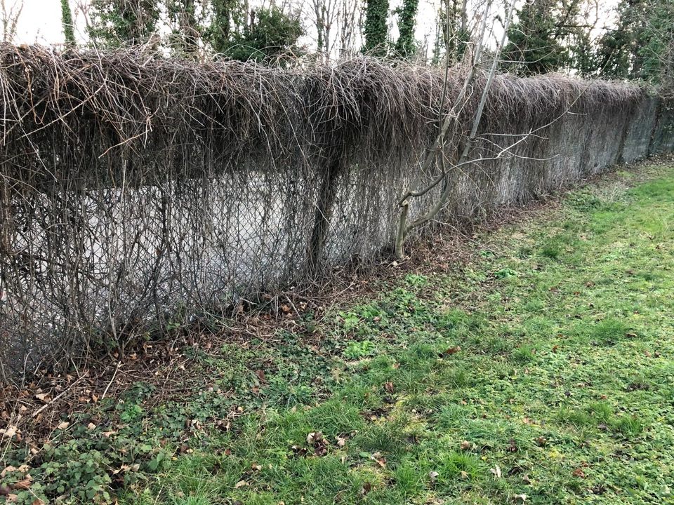 Helårsgrund i Saint-Etienne, Loire - foto 2