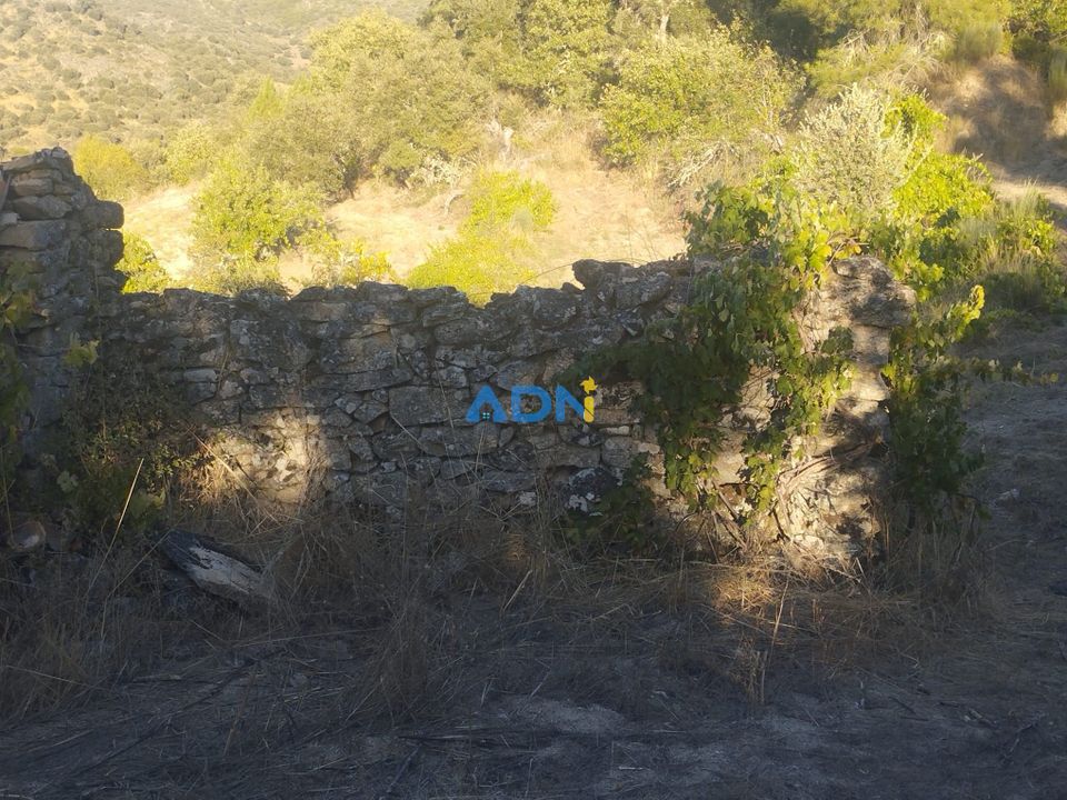 Helårsgrund i Castelo Mendo, Guarda - foto 3