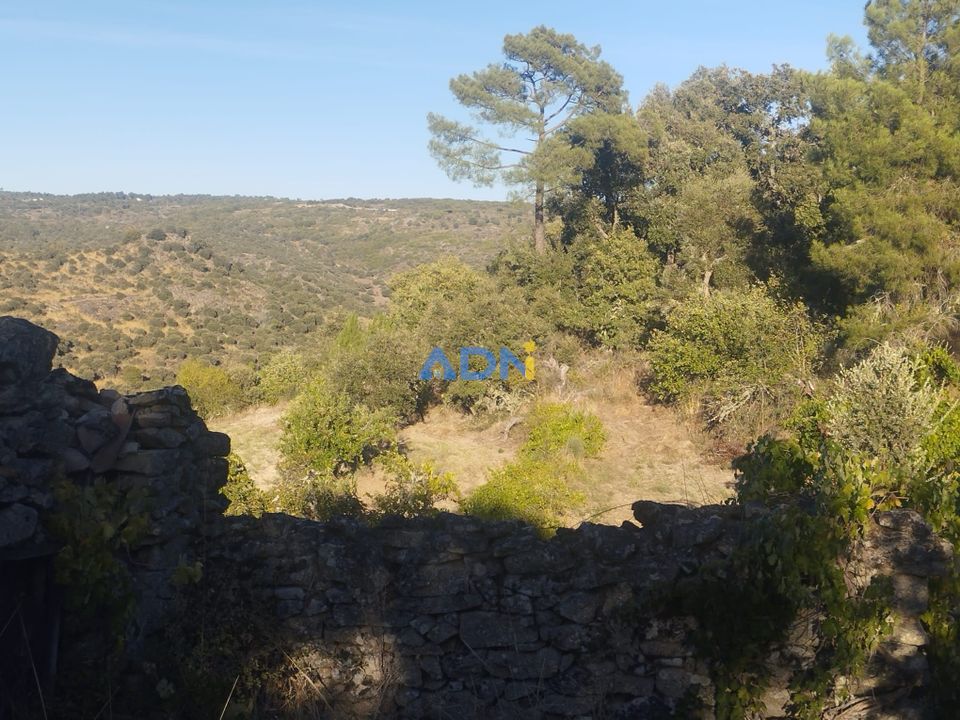 Helårsgrund i Castelo Mendo, Guarda - foto 4