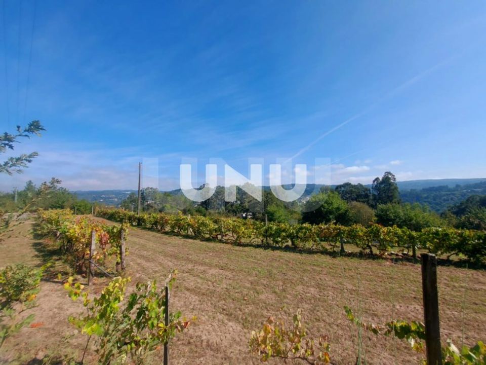 Terreno en Vouzela, Viseu - foto 2