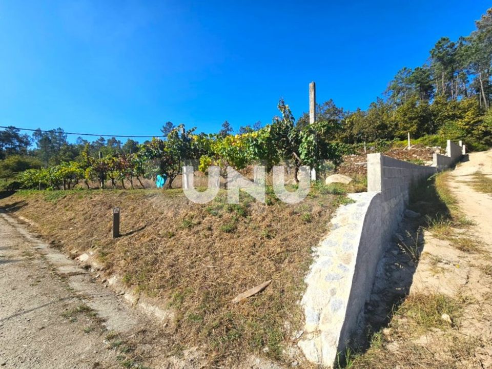 Terreno en Vouzela, Viseu - foto 1