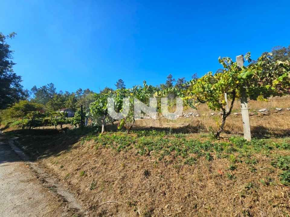 Terreno en Vouzela, Viseu - foto 3