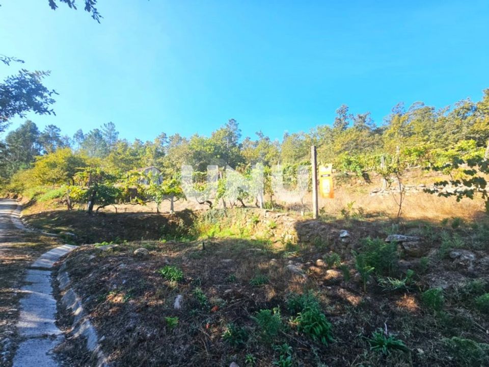Terreno en Vouzela, Viseu - foto 4