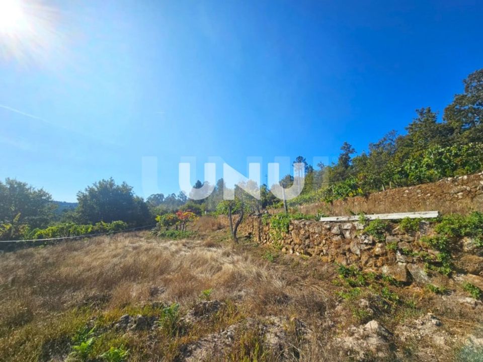 Terreno en Vouzela, Viseu - foto 5