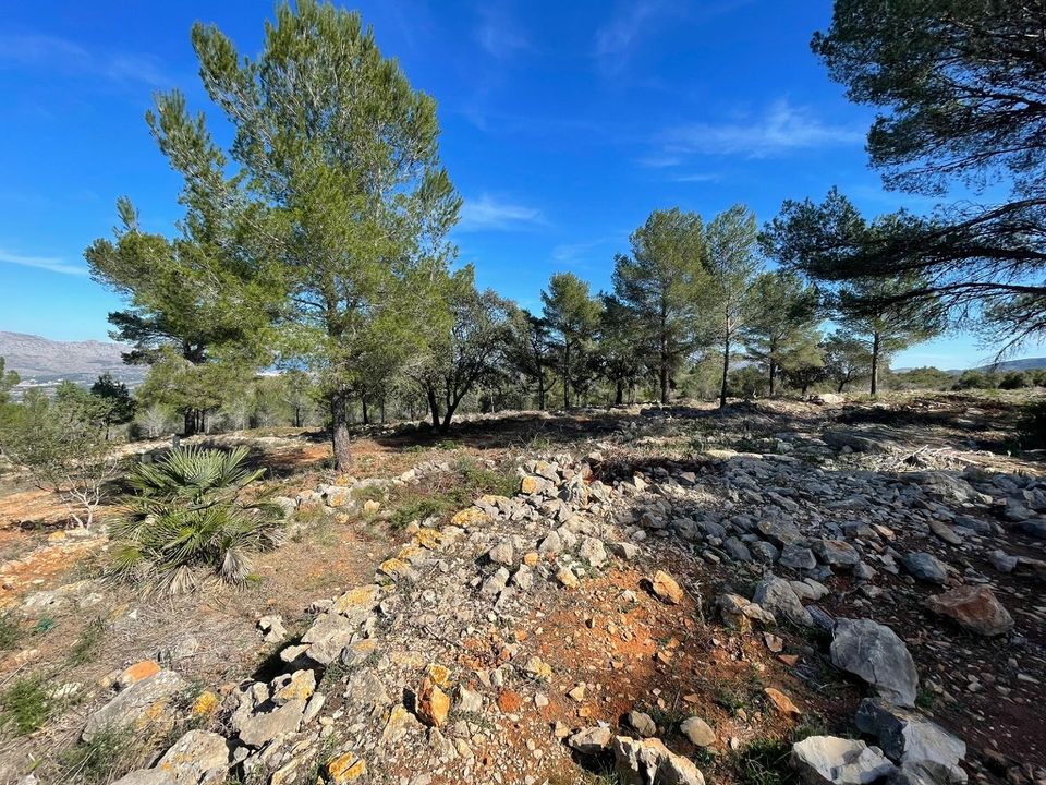Grond in Beniarbeig, Alicante - foto 3