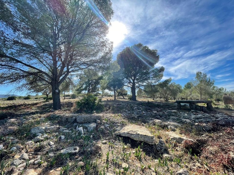 Grond in Beniarbeig, Alicante - foto 4