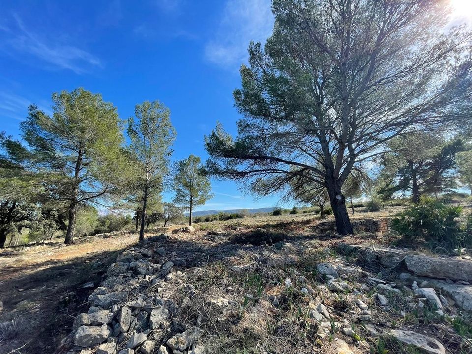 Grond in Beniarbeig, Alicante - foto 5