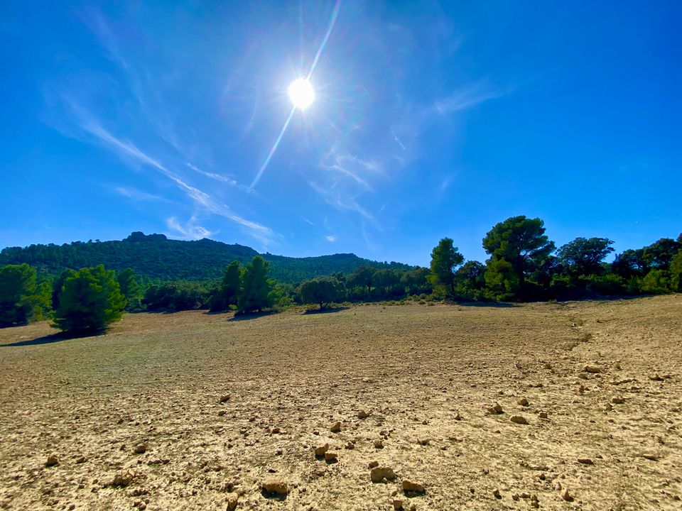 Finca i Ayora, Valencia - foto 3