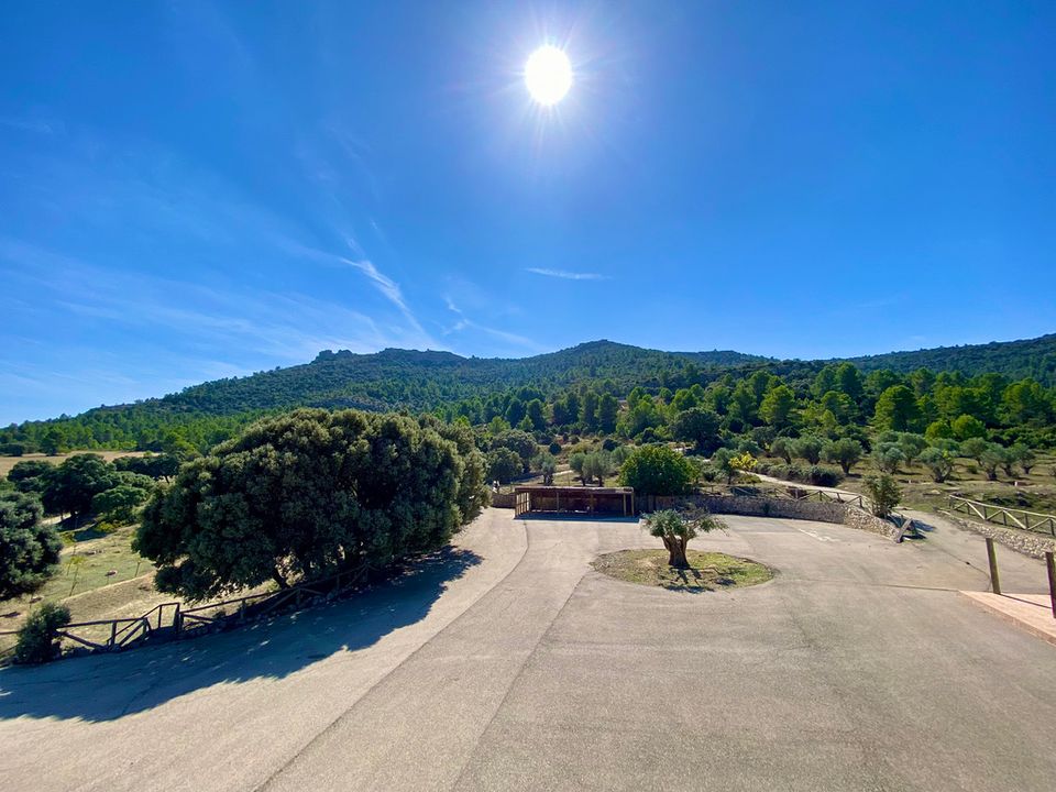Finca i Ayora, Valencia - foto 4