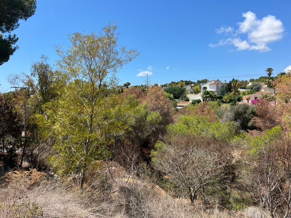Helårsgrund i Benissa, Alicante - foto 5