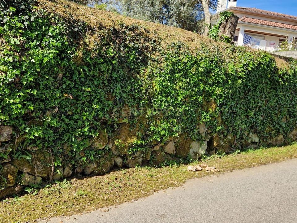 Helårsgrund i Viseu, Viseu - foto 2