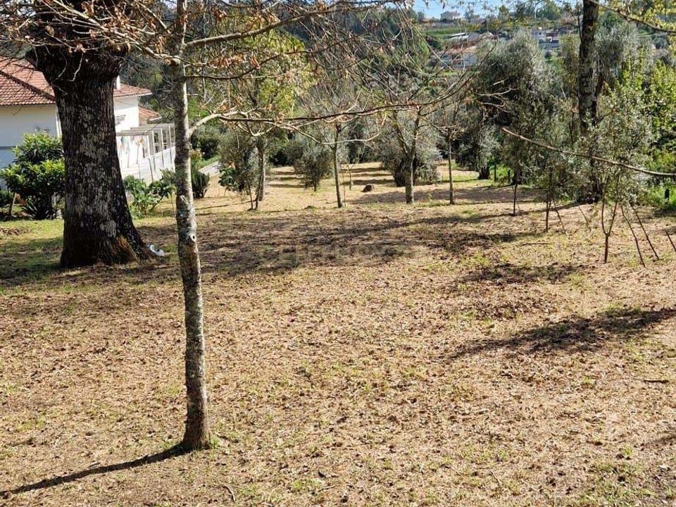 Helårsgrund i Viseu, Viseu - foto 4