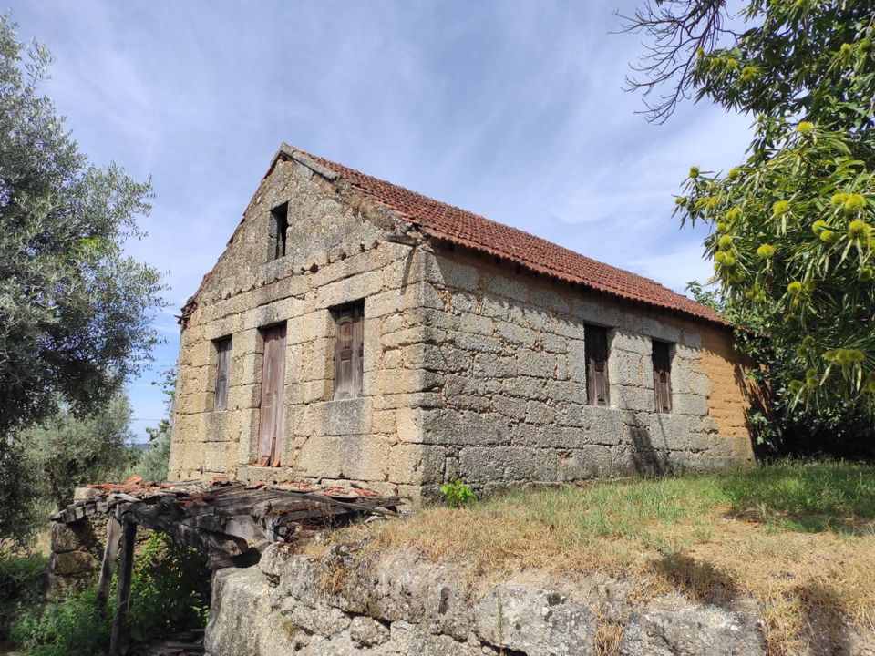 Villa i Santa Comba Dao, Viseu - foto 2