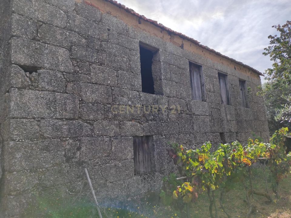 Villa i Santa Comba Dao, Viseu - foto 3