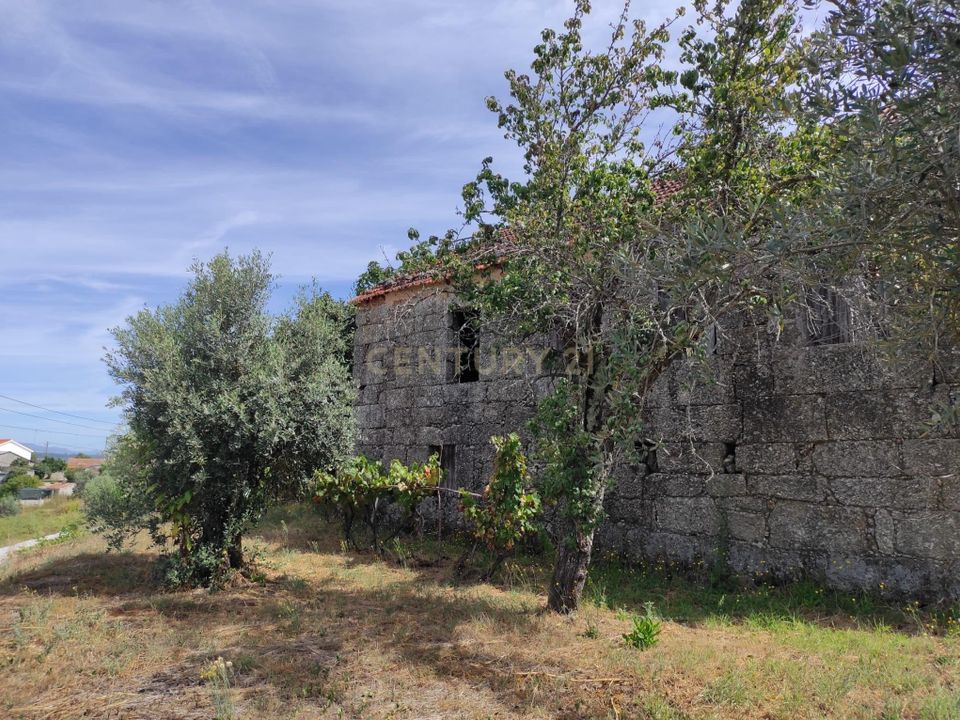 Villa i Santa Comba Dao, Viseu - bilde 3