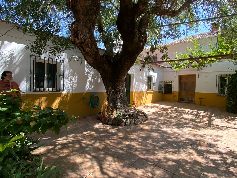 Landejendom i Villanueva Del Trabuco, Malaga - foto 1