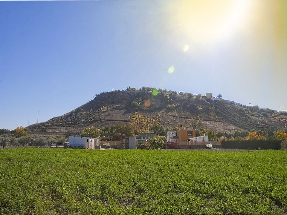 Herregård i Monturque, Cordoba - bilde 4