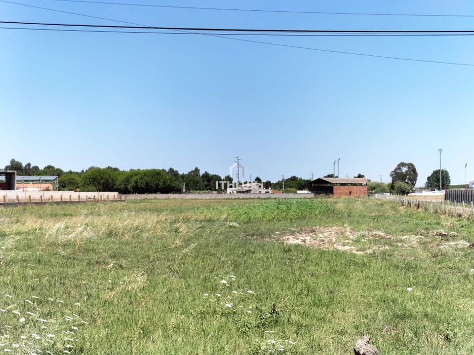 Grond in Benavente, Santarem - foto 5