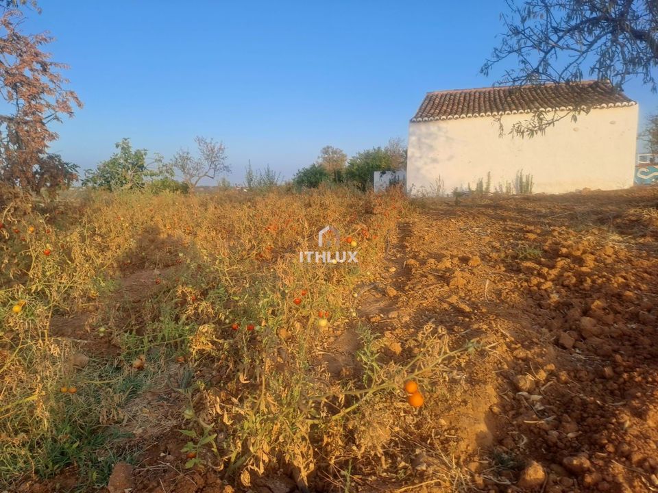 Ruin i Alcantarilha, Faro - bilde 2