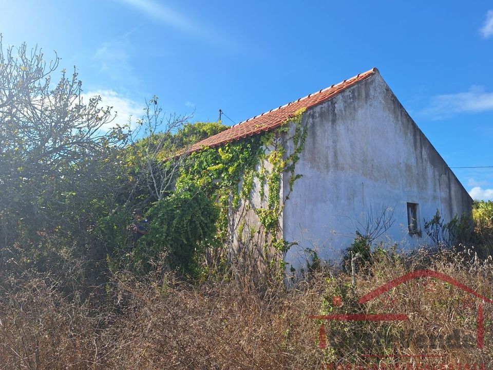 Villa i Cadaval, Lisbon - foto 3