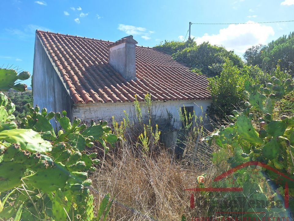 Villa i Cadaval, Lisbon - foto 5