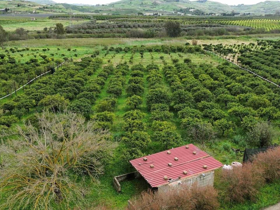 Grond in Ribera, Agrigento - foto 1
