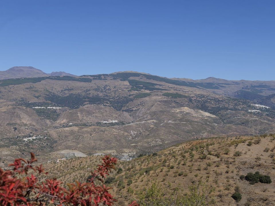 Landejendom i Cadiar, Granada - foto 4