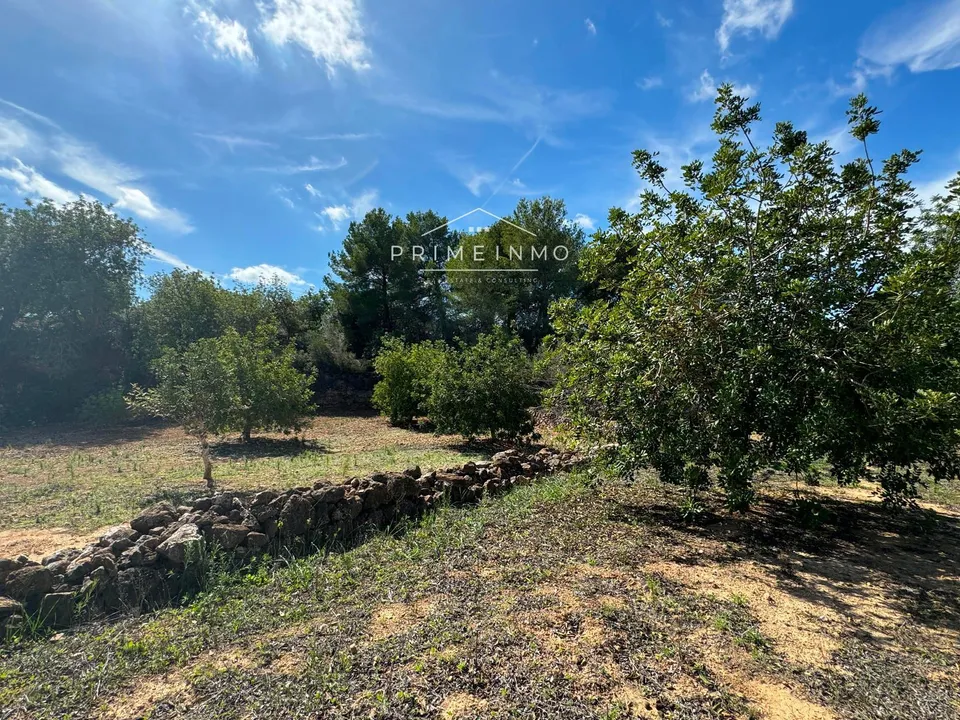 Finca i El Perello, Tarragona - foto 1
