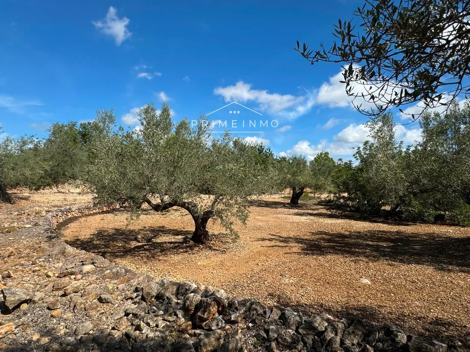 Finca i El Perello, Tarragona - foto 3