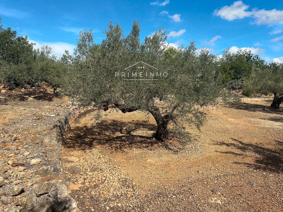 Finca i El Perello, Tarragona - foto 4