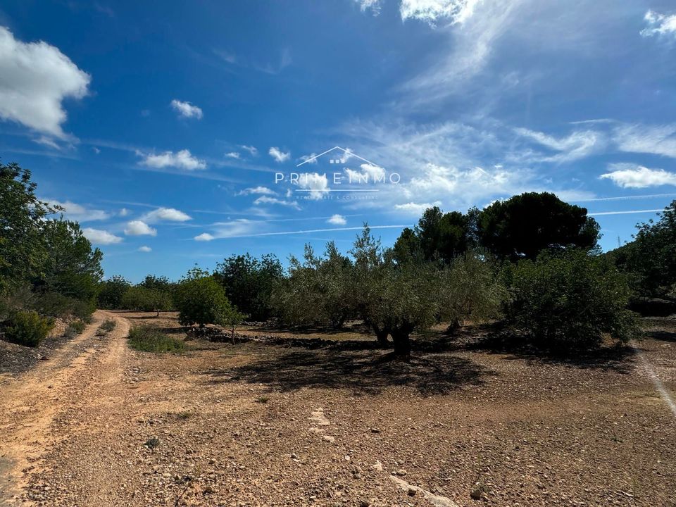 Finca i El Perello, Tarragona - foto 5