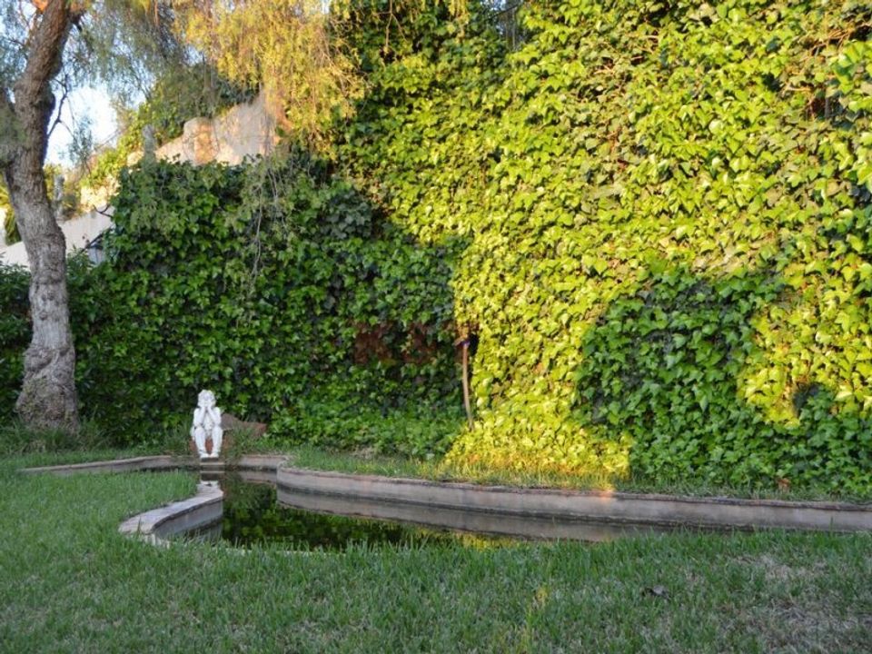Villa i Silves, Faro - foto 5