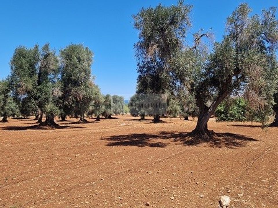 Villa i Carovigno, Brindisi - foto 2