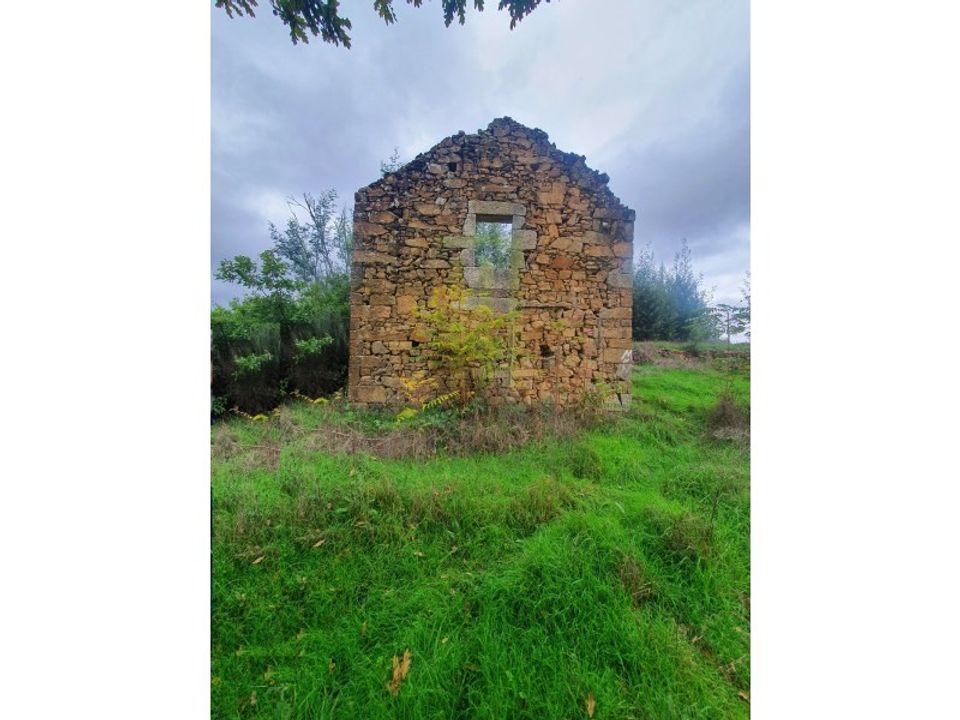 Farm i Santa Ovaia e Vila Pouca da Beira, Coimbra - foto 1