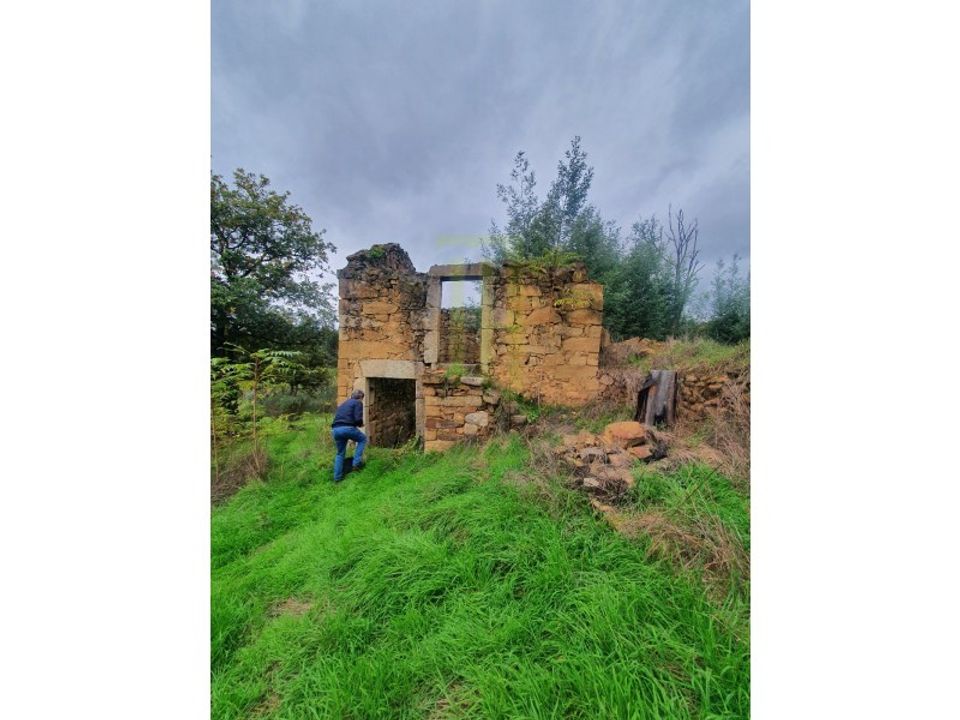 Farm i Santa Ovaia e Vila Pouca da Beira, Coimbra - foto 2