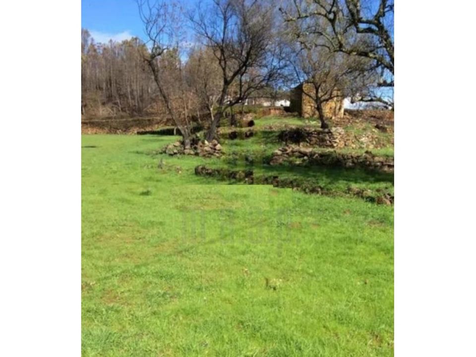 Farm i Santa Ovaia e Vila Pouca da Beira, Coimbra - foto 3