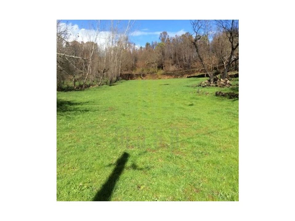 Farm i Santa Ovaia e Vila Pouca da Beira, Coimbra - foto 4