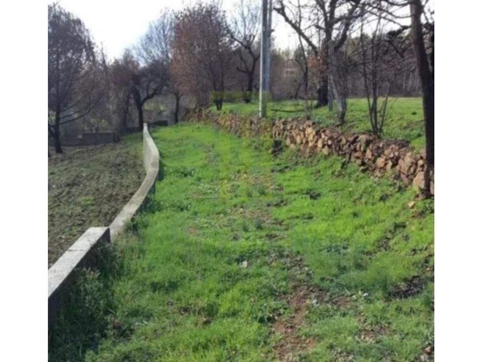 Farm i Santa Ovaia e Vila Pouca da Beira, Coimbra - foto 5