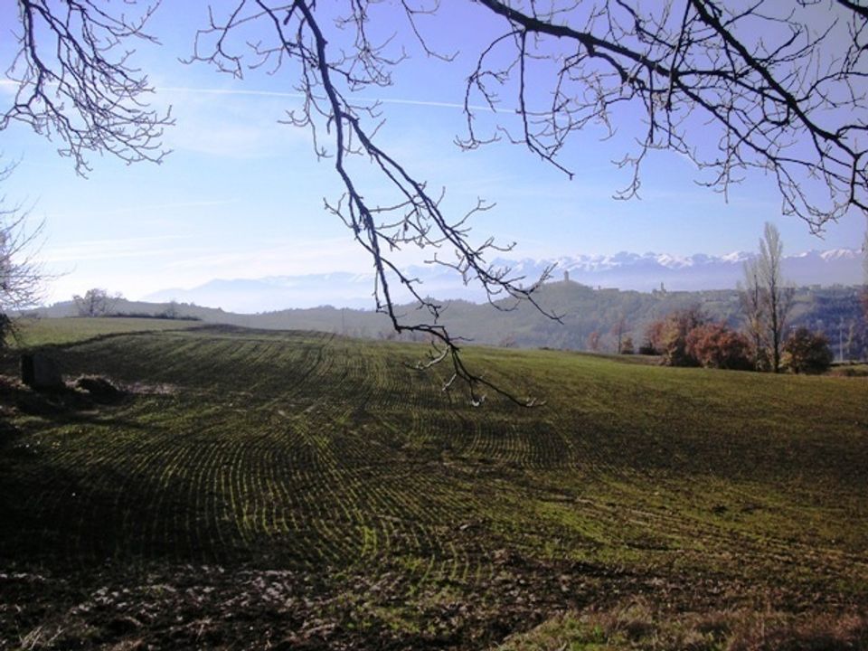 Villa i Murazzano, Cuneo - foto 3