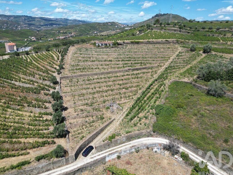 Byhus i Peso da Regua, Vila Real - foto 1