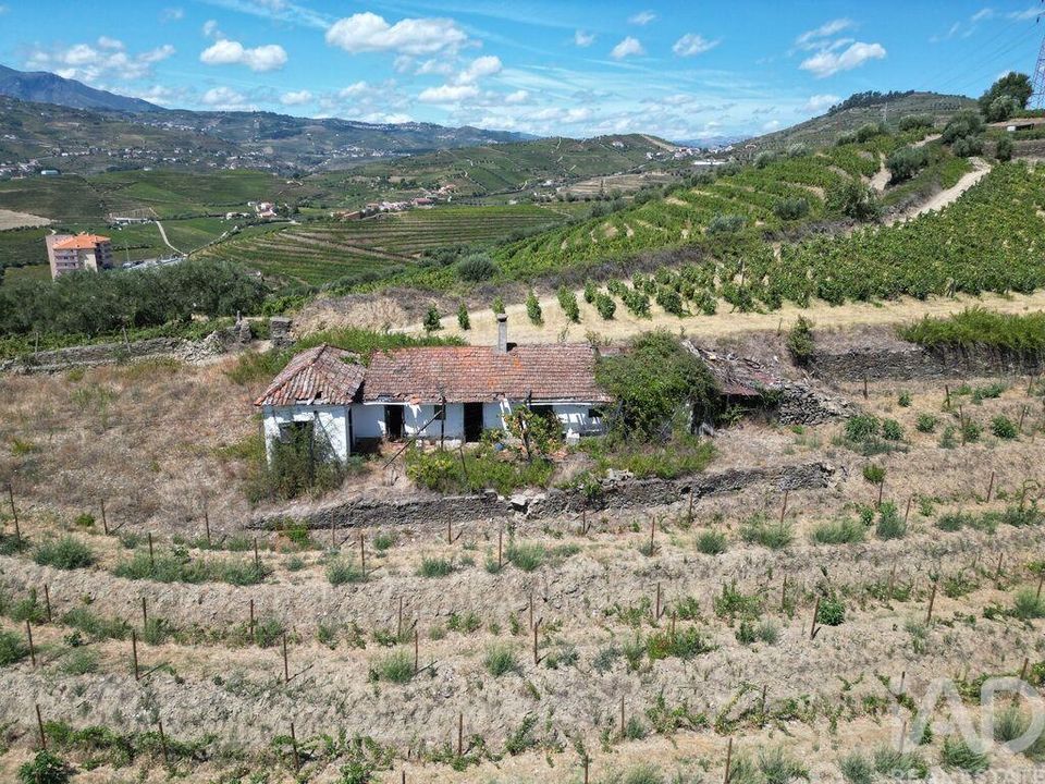 Byhus i Peso da Regua, Vila Real - foto 3