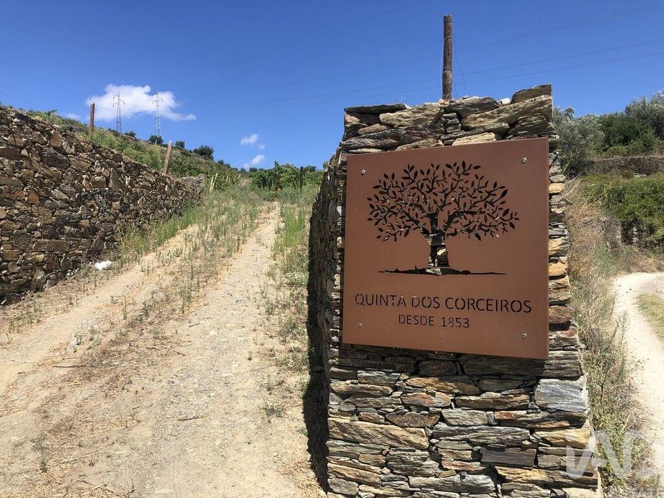 Byhus i Peso da Regua, Vila Real - foto 5