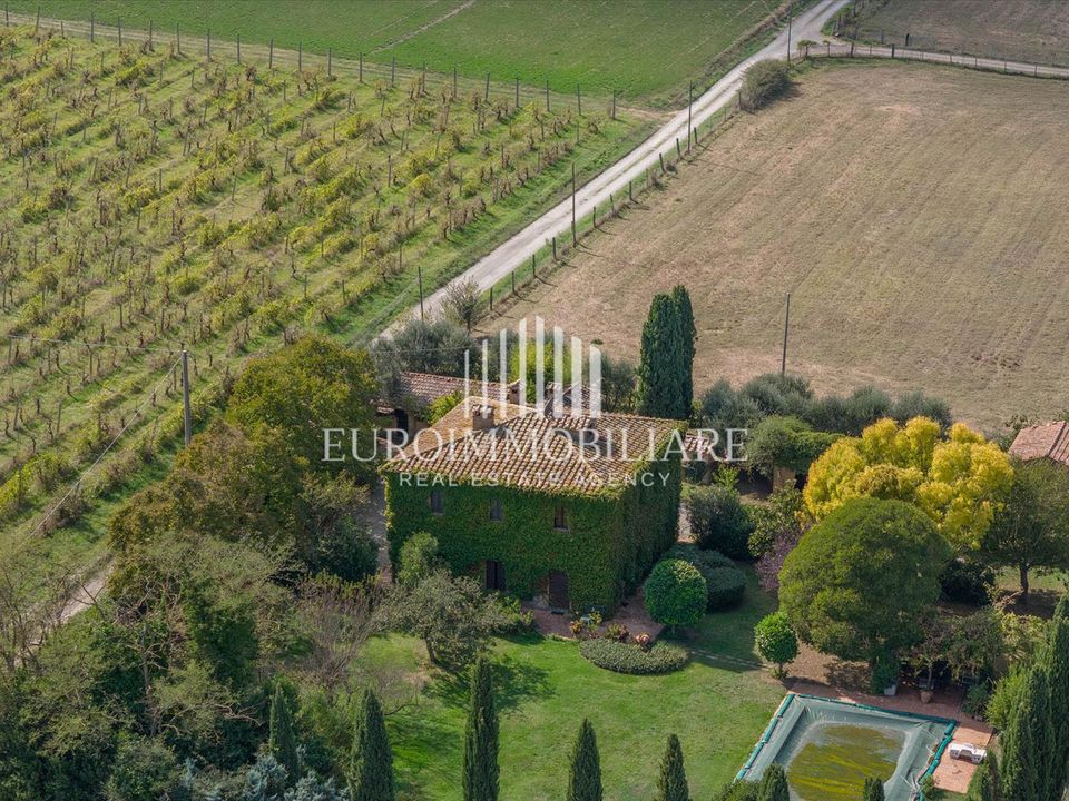 Farm hus i Castiglione del Lago, Perugia - foto 4