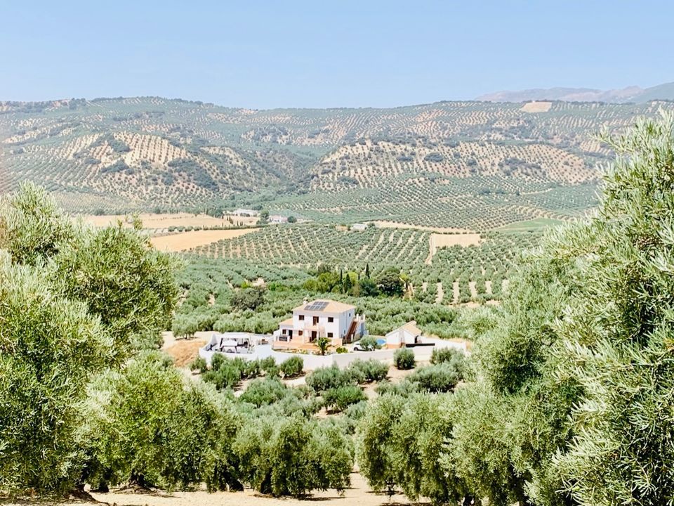 Landejendom i Algarinejo, Granada - foto 1